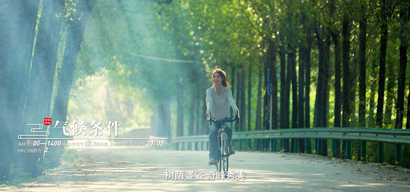 生态宜居 秀美阿庄